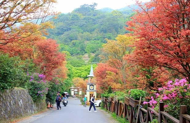 Đài Loan mùa lá đỏ - Khu du lịch Yangmingshan