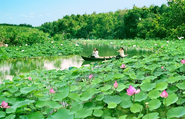 Du lịch 2/9 nên đi đâu - Đồng Tháp