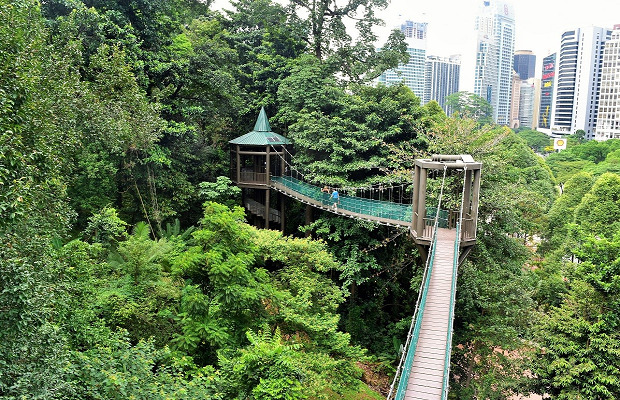 du lịch Malaysia mùa xuân - Công viên sinh thái KL Fores