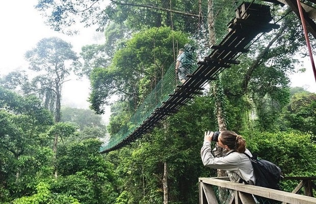 du lịch Malaysia mùa xuân - thung lũng Danum