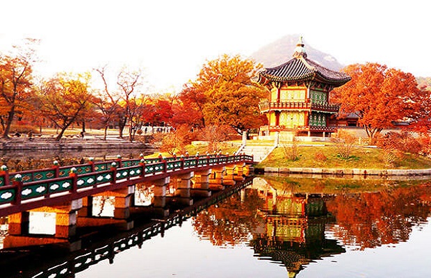 mùa lá đỏ Hàn Quốc - Cung điện Gyeongbokgung